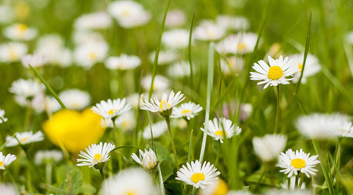 Romantyczna majówka za miastem - atrakcje