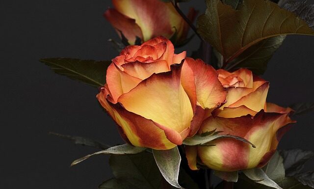 Ile w Danii za urodzenie dziecka? Ile w Danii za urodzenie dziecka?