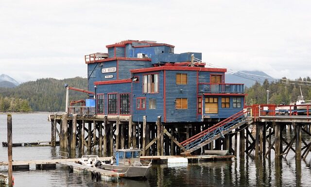 Jakie korzenie ma Polacy? Jakie korzenie ma Polacy?