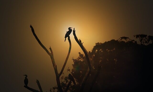 O której godzinie najlepiej jechać do Chorwacji? O której godzinie najlepiej jechać do Chorwacji?