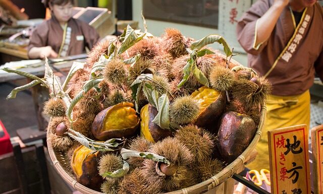 Jak dojechać z Polski do Słowenii? Jak dojechać z Polski do Słowenii?