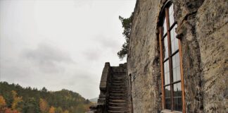 Czy w Czechach można nocować w lesie?