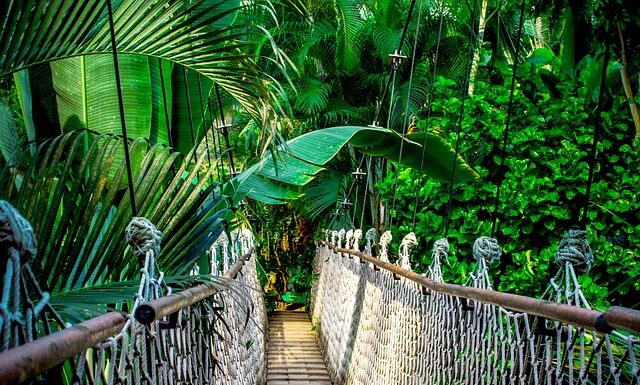 Jakie są kursy walut na dzień dzisiejszy?