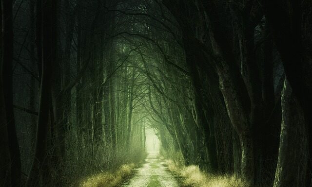 Jakie przejście graniczne Chorwacją Słowenia?