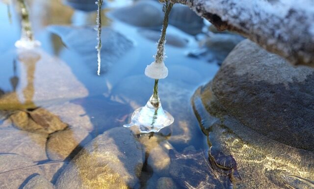 Gdzie jest 24 stopnie w styczniu?