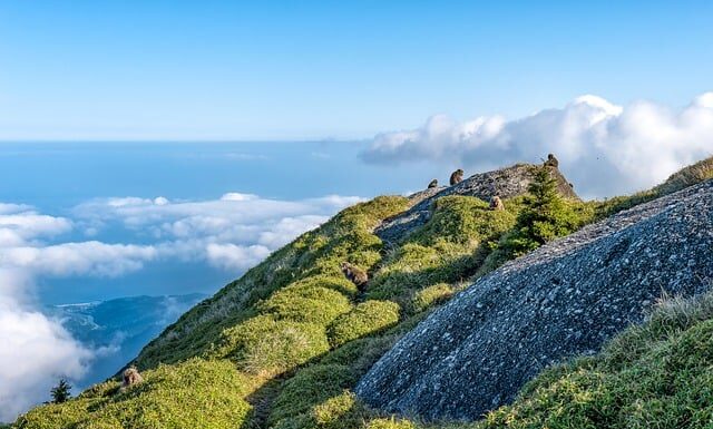 Co oznacza litera M na czeskich drogach? Co oznacza litera M na czeskich drogach?