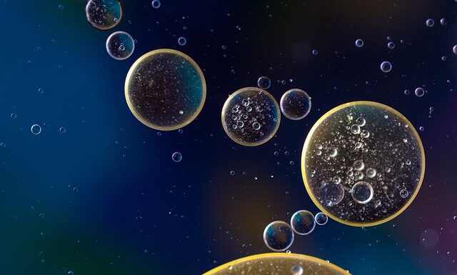 Co gryzie w Chorwacji w wodzie?