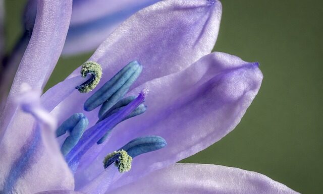 Czy hiszpański jest łatwy dla Polaka? Czy hiszpański jest łatwy dla Polaka?