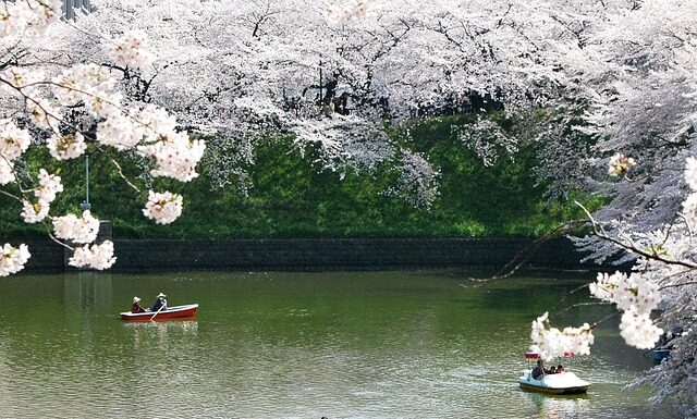 Jak długo trwa lot do Japonii?