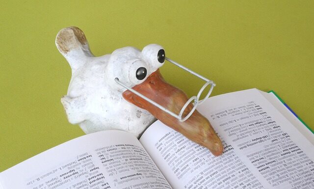 Jakie są Top 3 najtrudniejsze języki świata?