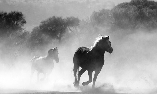 Czy można palić na plaży w Chorwacji?