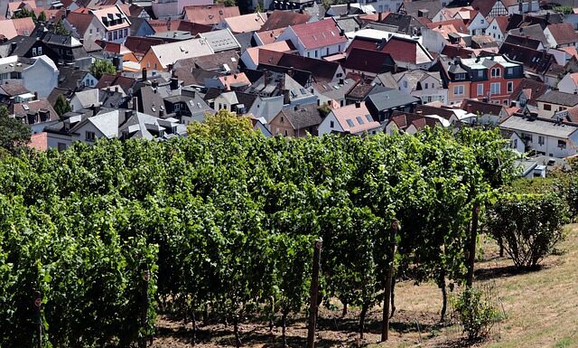 Do jakiej miejscowości nad morze?