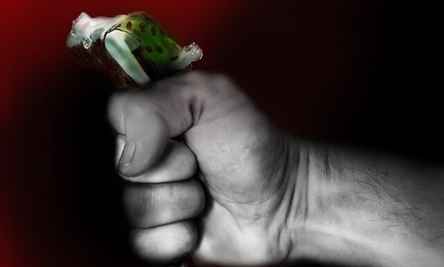 Ile wynosi kara za przejazd bez biletu?