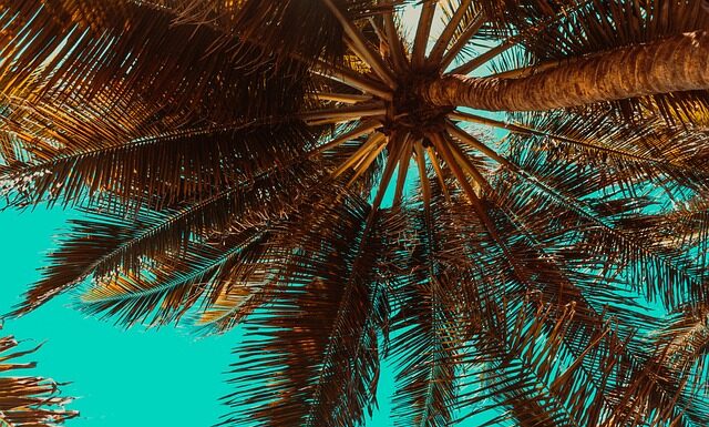 Gdzie na świecie jest ciągle lato?