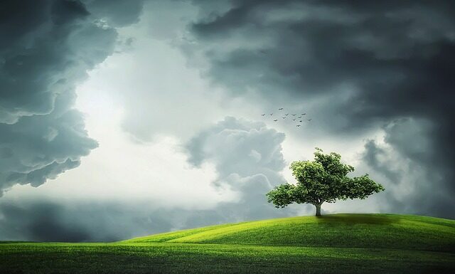 Gdzie jest zawsze ładna pogoda?