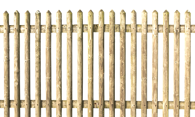 Czy na granicy sprawdzają dowody? Czy na granicy sprawdzają dowody?