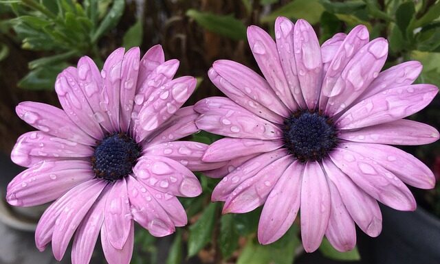 Gdzie jest 30 stopni w grudniu? Gdzie jest 30 stopni w grudniu?