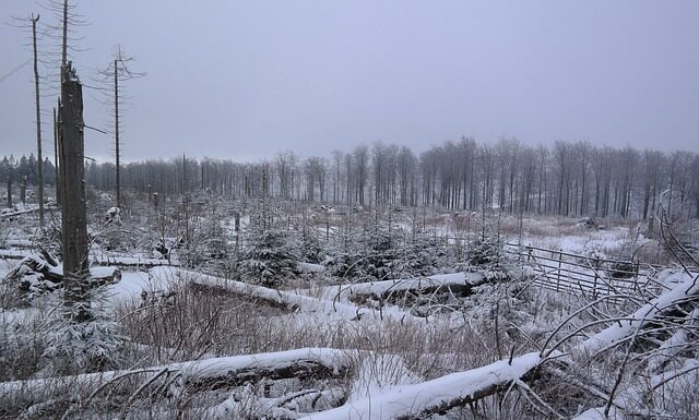 Czy w cyrylicy jest literą ź?