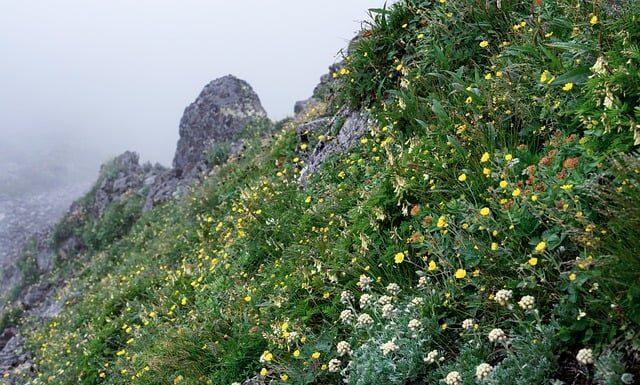 Ile trwa lot do Japonii samolotem?