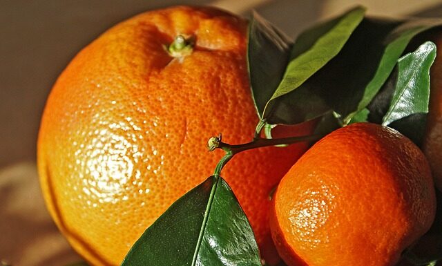 Gdzie jechać w marcu do ciepłych krajów? Gdzie jechać w marcu do ciepłych krajów?