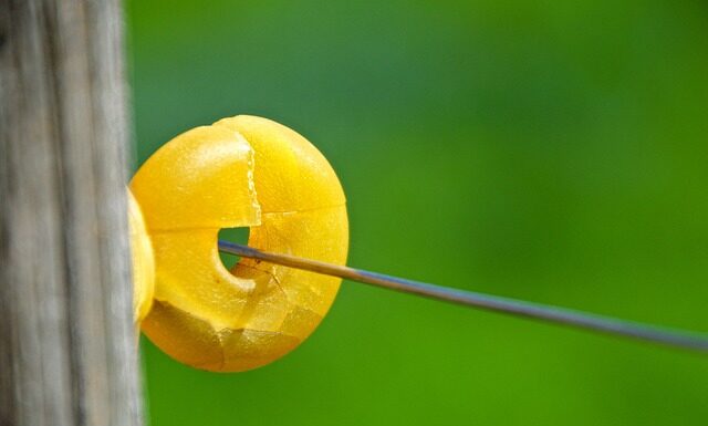 Jak Turcy nazywają Polaków? Jak Turcy nazywają Polaków?
