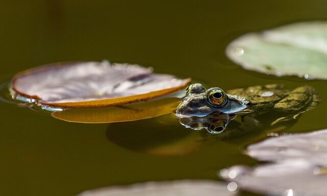Na co uważać na plażach w Chorwacji?