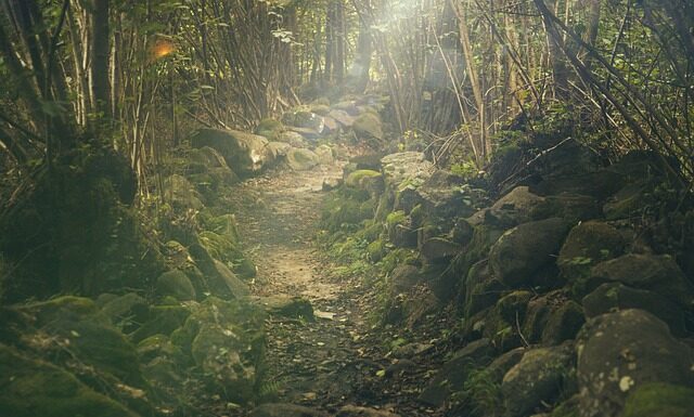 Ile kosztuje wycieczka na wyspy Bora Bora?