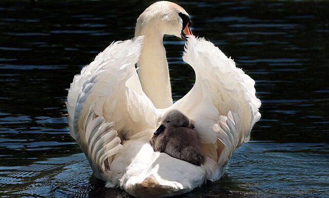 Ile kosztuje taxi z lotniska w Lizbonie do centrum?