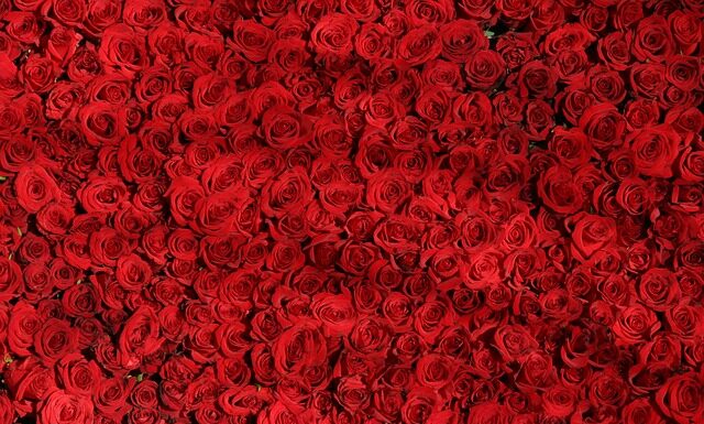 Czym się różni Polak od Ukraińca? Czym się różni Polak od Ukraińca?