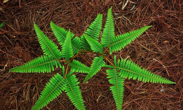 Które narody Najwięcej piją? Które narody Najwięcej piją?