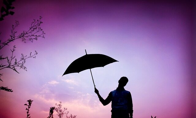 Jak wygląda winieta online?