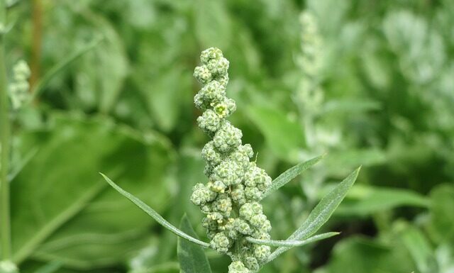 Czy meldunek chroni przed eksmisja?