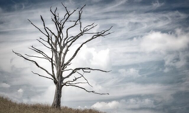 Jak się żyje w Słowenii?