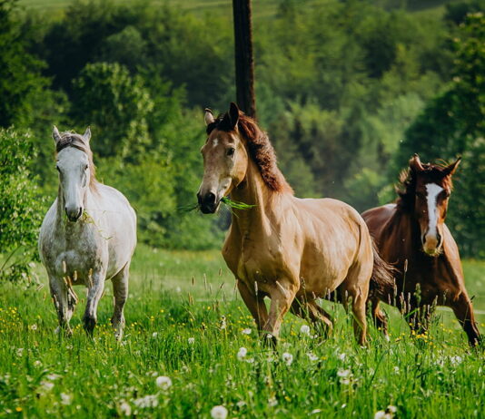 Odpoczynek w górach podczas wakacyjnego weekendu