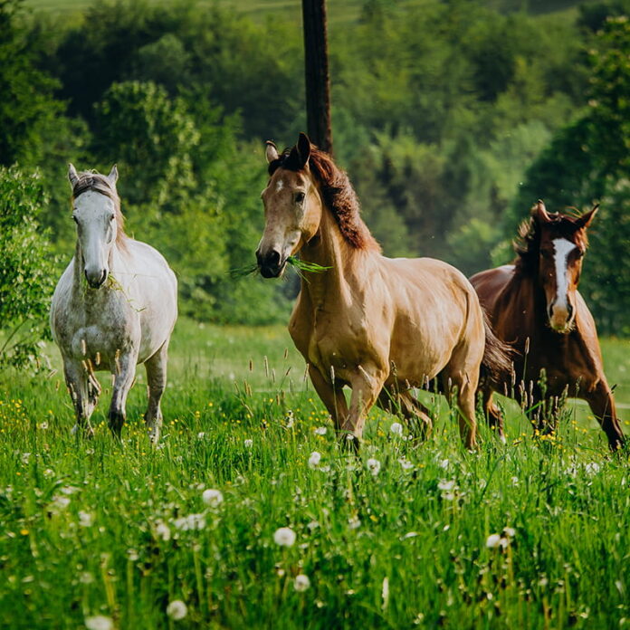 Odpoczynek w górach podczas wakacyjnego weekendu-2 Odpoczynek w górach podczas wakacyjnego weekendu